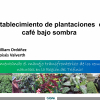 Establecimiento de plantaciones de café bajo sombra, William Ordoñez, Programas Bosques y Agua